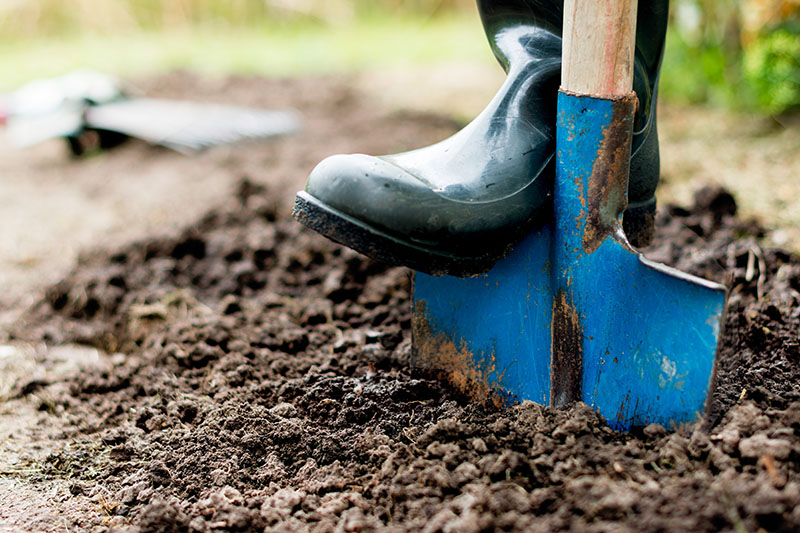 gardening